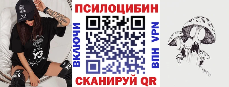 Галлюциногенные грибы Psilocybe  где купить наркоту  blacksprut ссылка  Михайлов 