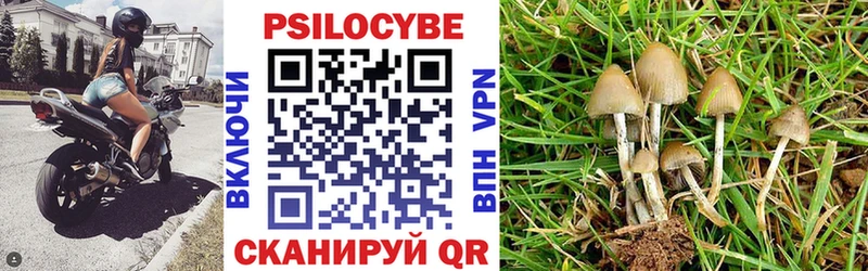 Псилоцибиновые грибы мицелий Михайлов